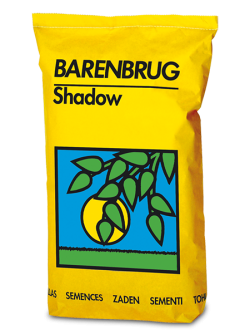 Shadow árnyéktűrő fűmag 3.Kép