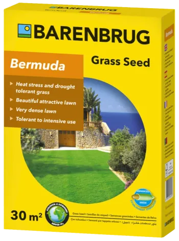 http://promower.test.w2d.hu/media_ws/10032/2043/idx/barenbrug-bermuda-csillagpazsit.webp